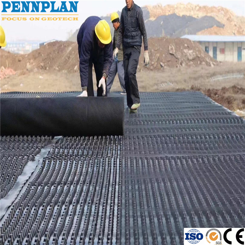 HDPE Drainage Sheet High Quality Dimple Drain Board Wholesale Price