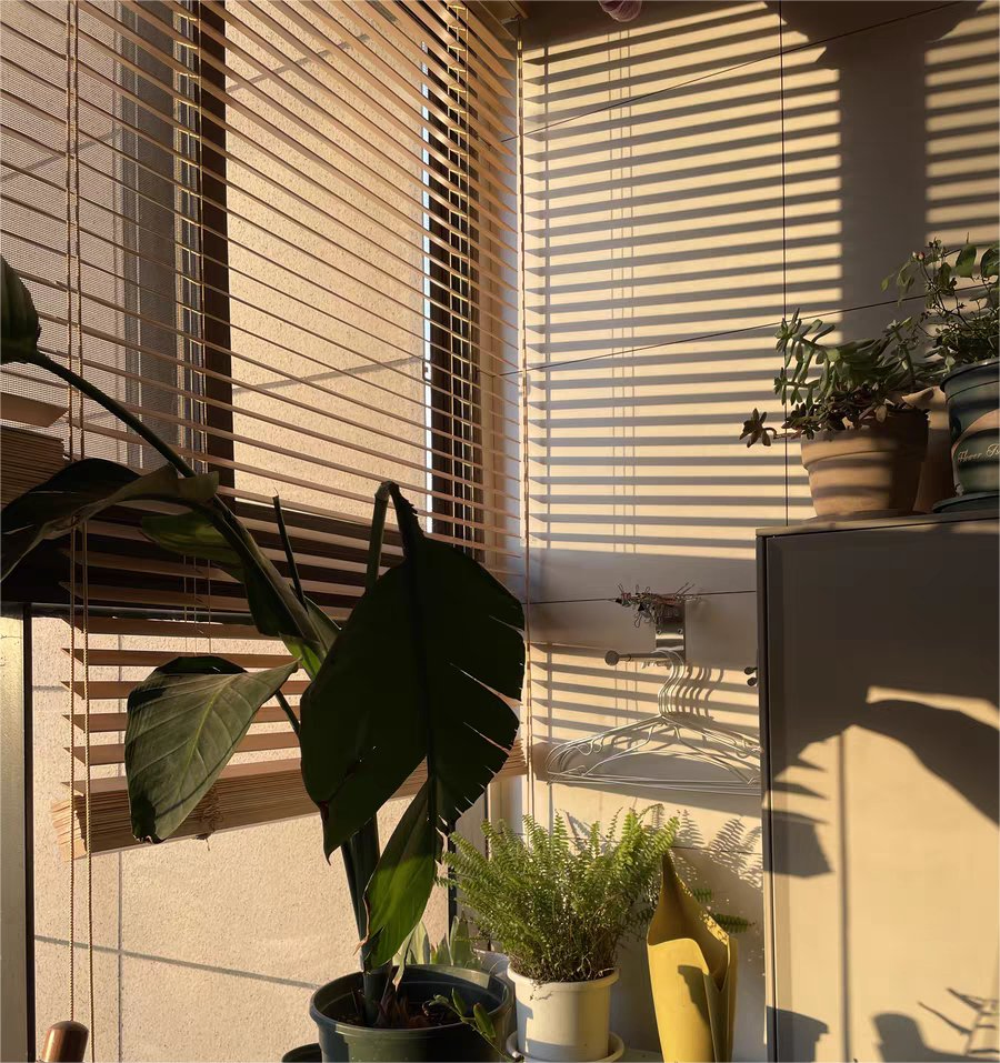 Window Curtain Home Decoration 35mm 50mm Wood Slats Natural Color Venetian Blinds