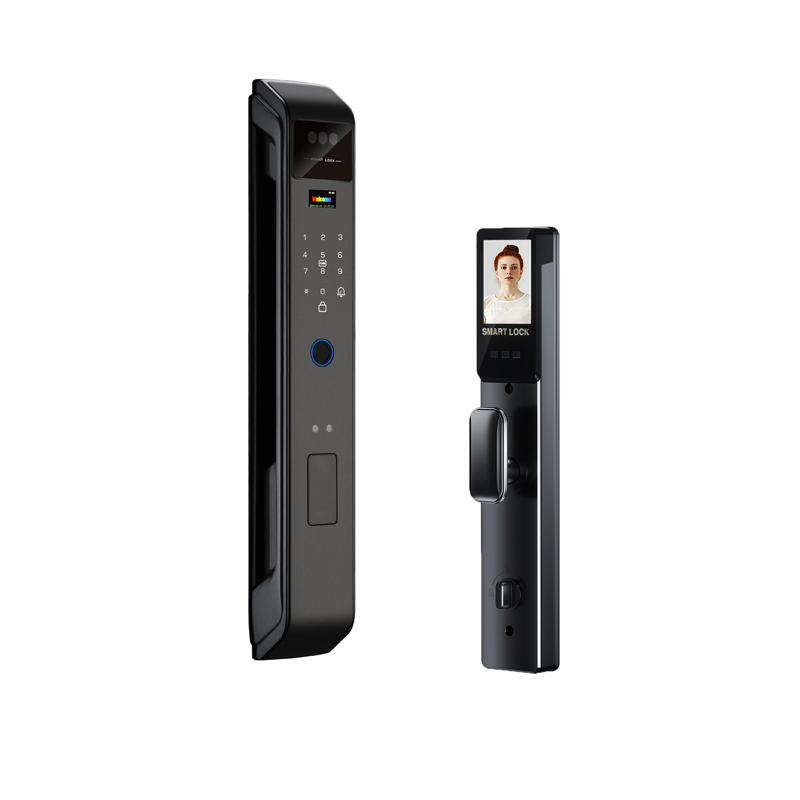 Black Color 3D Face Alum-Alloy Material Smart Lock