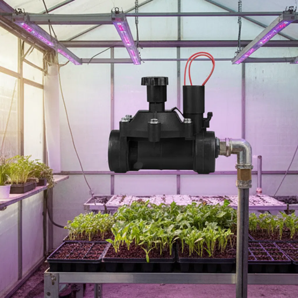 Durable Agriculture Solenoid Valve, 24V DC, Black, 3/4"