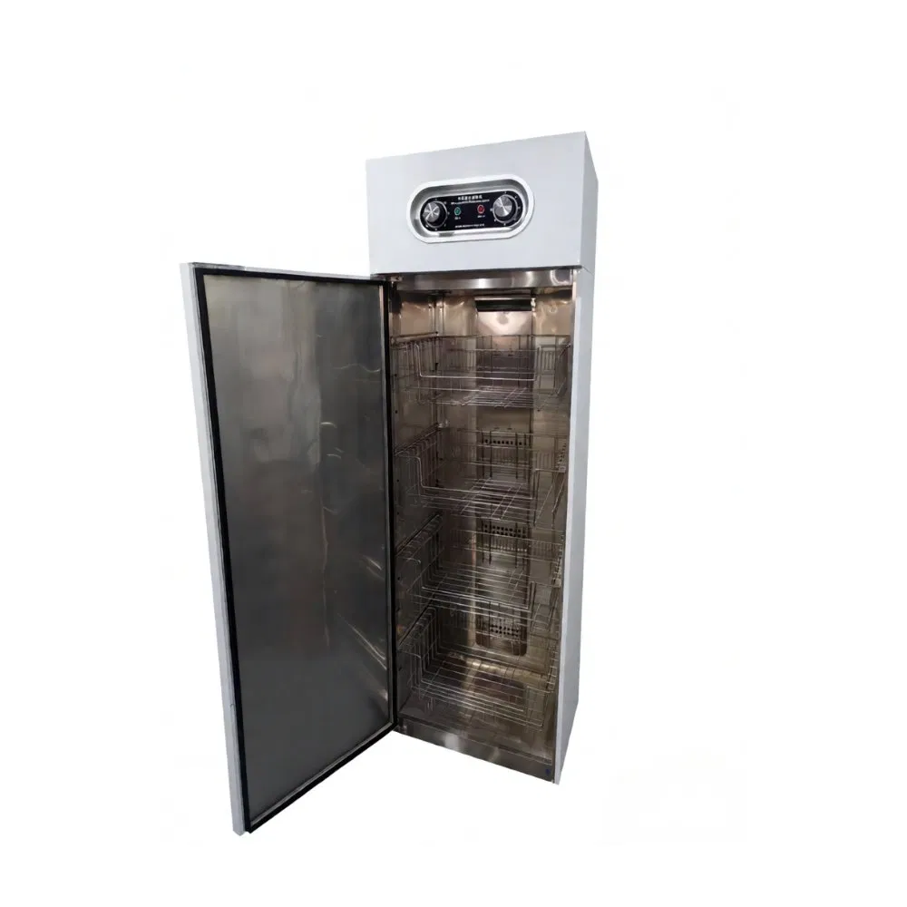 Engineering Disinfection Cabinet Sterilizer Kitchen Equipment for Mbg
