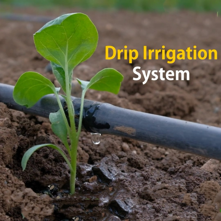 1 Hectare Drip Hose Reel Irrigation Flat Tape Drip Irrigation System Pipes Agriculture Farm Irrigation System Drip Tape