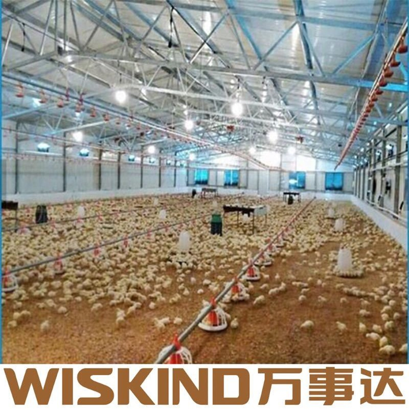 Wiskind Factory Price Prefabricated Steel Structure Warehouse Hangar Design