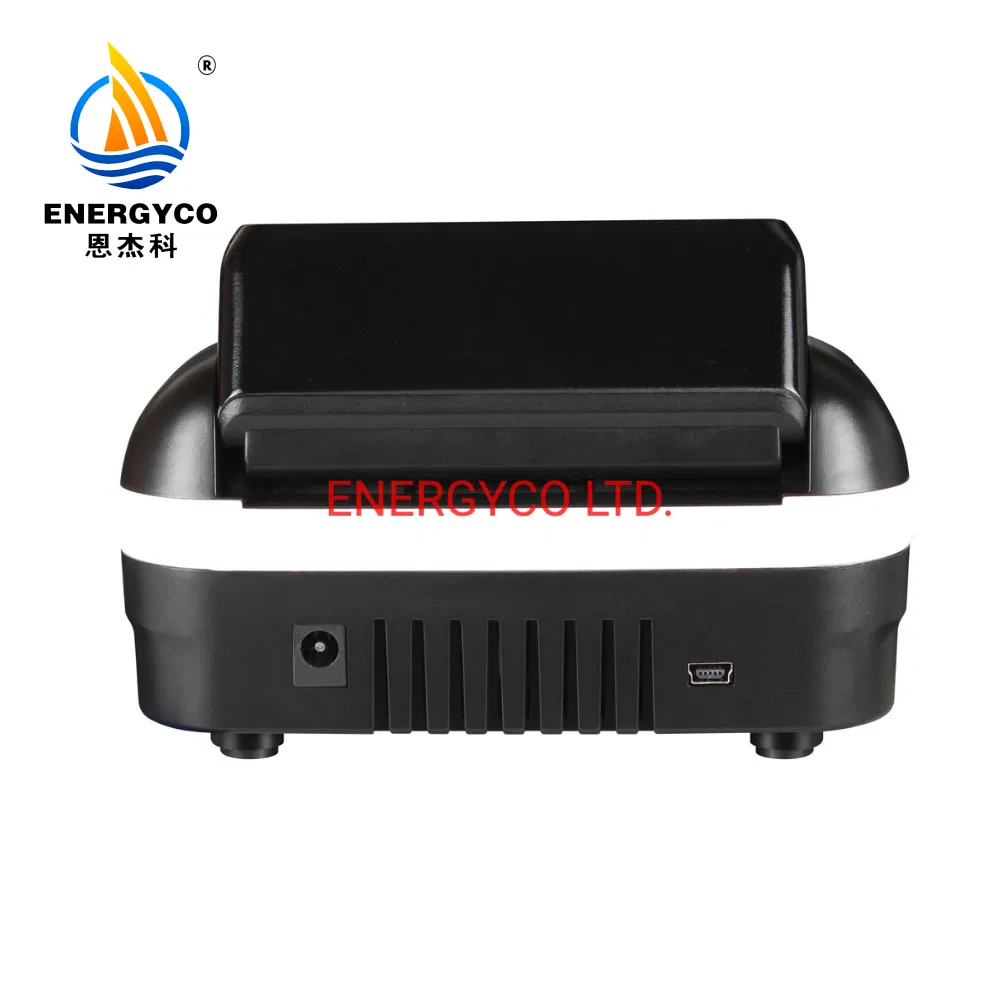 Professional Multi Function LCD Money Detector