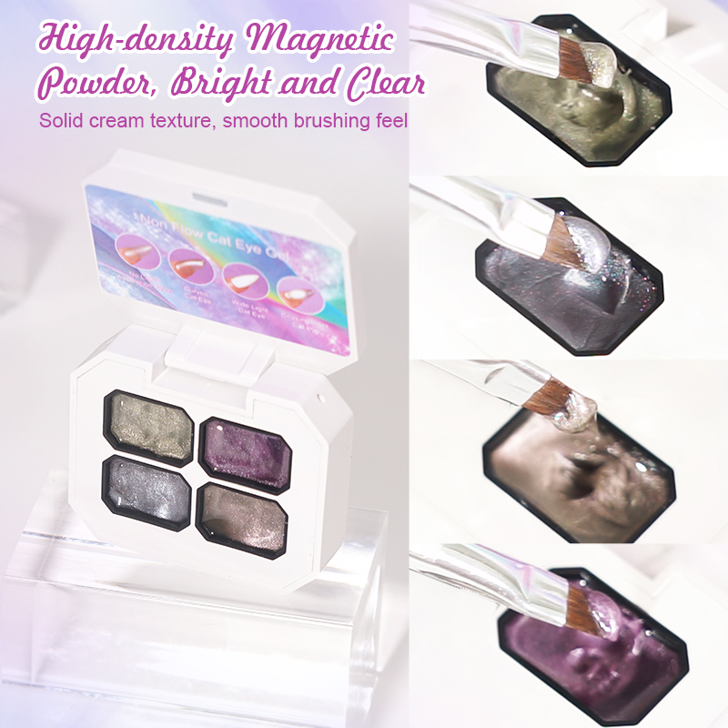 R S Nail High Quality Non-Toxic Solid Gel Nail Polish Box Set 4 Color Solid Cream Cat Eye Gel Polish Pallet