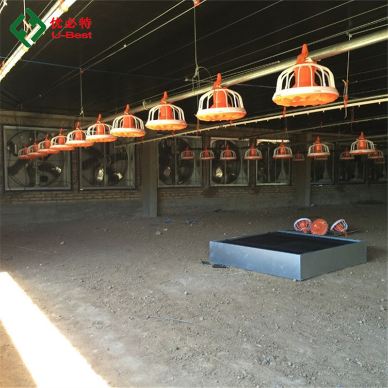 Automatic Feeding System Poultry Feed Line System Poultry Farm Equipment