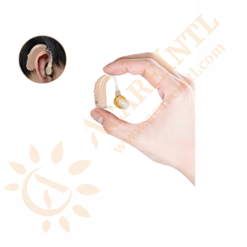 Rechargeable Digital Hearing Aids Behind The Ear Hearing Amplifier Receiver in Canal