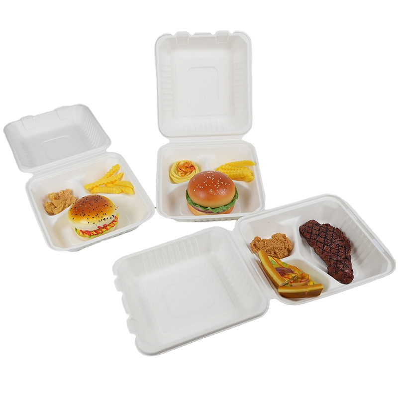 Biodegradable Disposable Divided Box with Multiple Sections for Food Separation