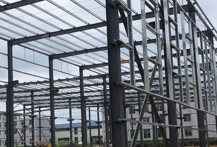 Heavy-Duty Steel Poultry Farm Structure for Hotel Building Projects