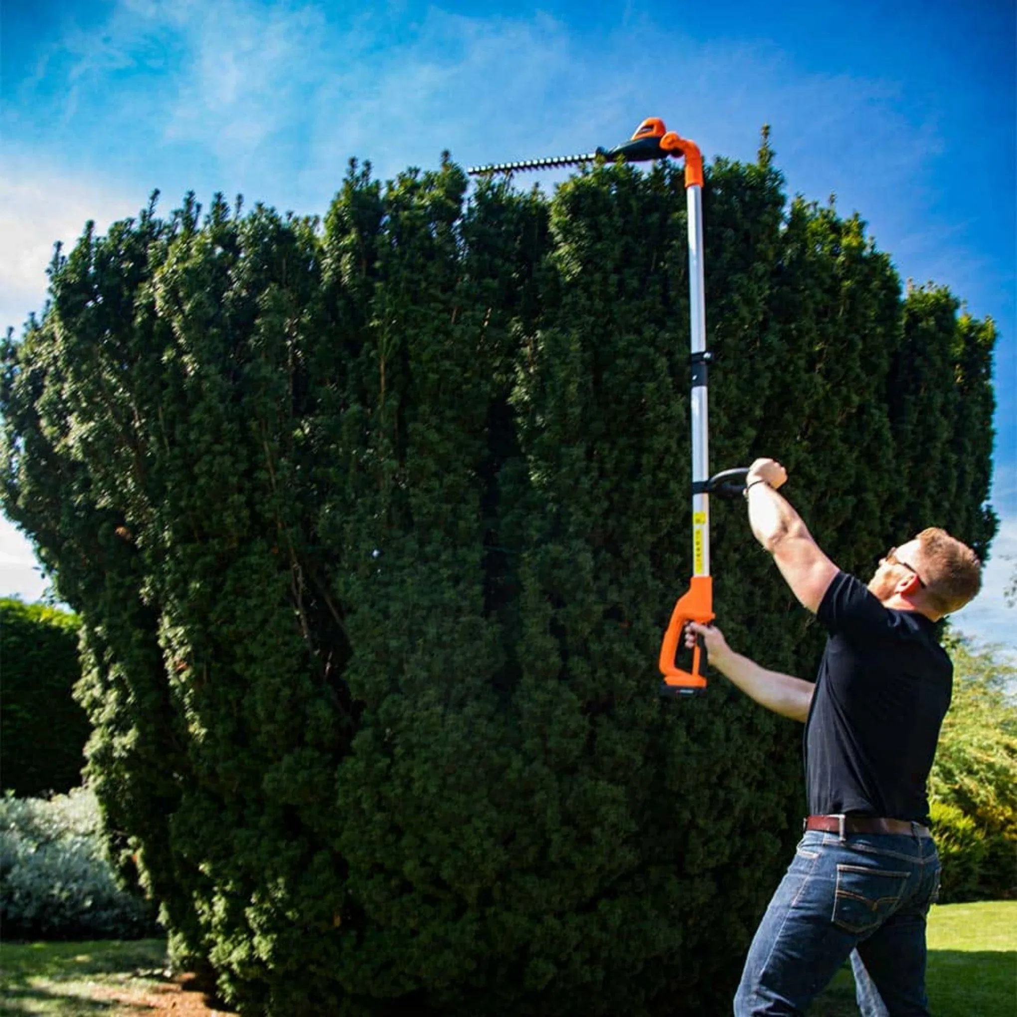 Lh C41A - Cutting Edge Battery-Powered Aluminium Tube Hedge Cutter Tree Trimmer