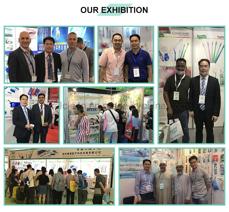 Manufacturer Hot Sale Soft Bristles Adult Toothbrush Handle Printed with Cartoon Picture