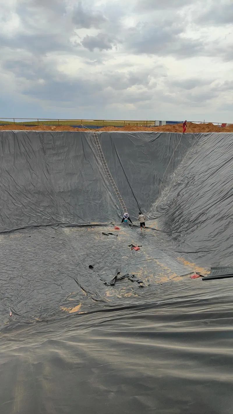 Jinghe Waterstop Belt HDPE Geomembrane for Transportation Projects Hydraulic Projects Geotechnical Projects Environmental Projects Customized