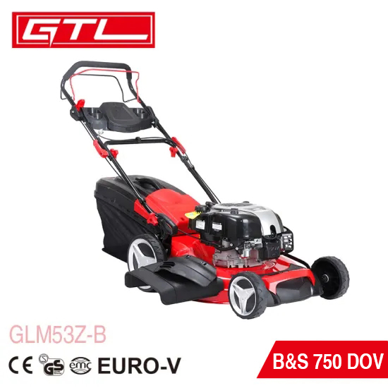 Luxury Models Grass Cutting Machine 21inch Self-Propelled Gasoline Lawn Mower with Original B&S Engine (GLM53Z-B)