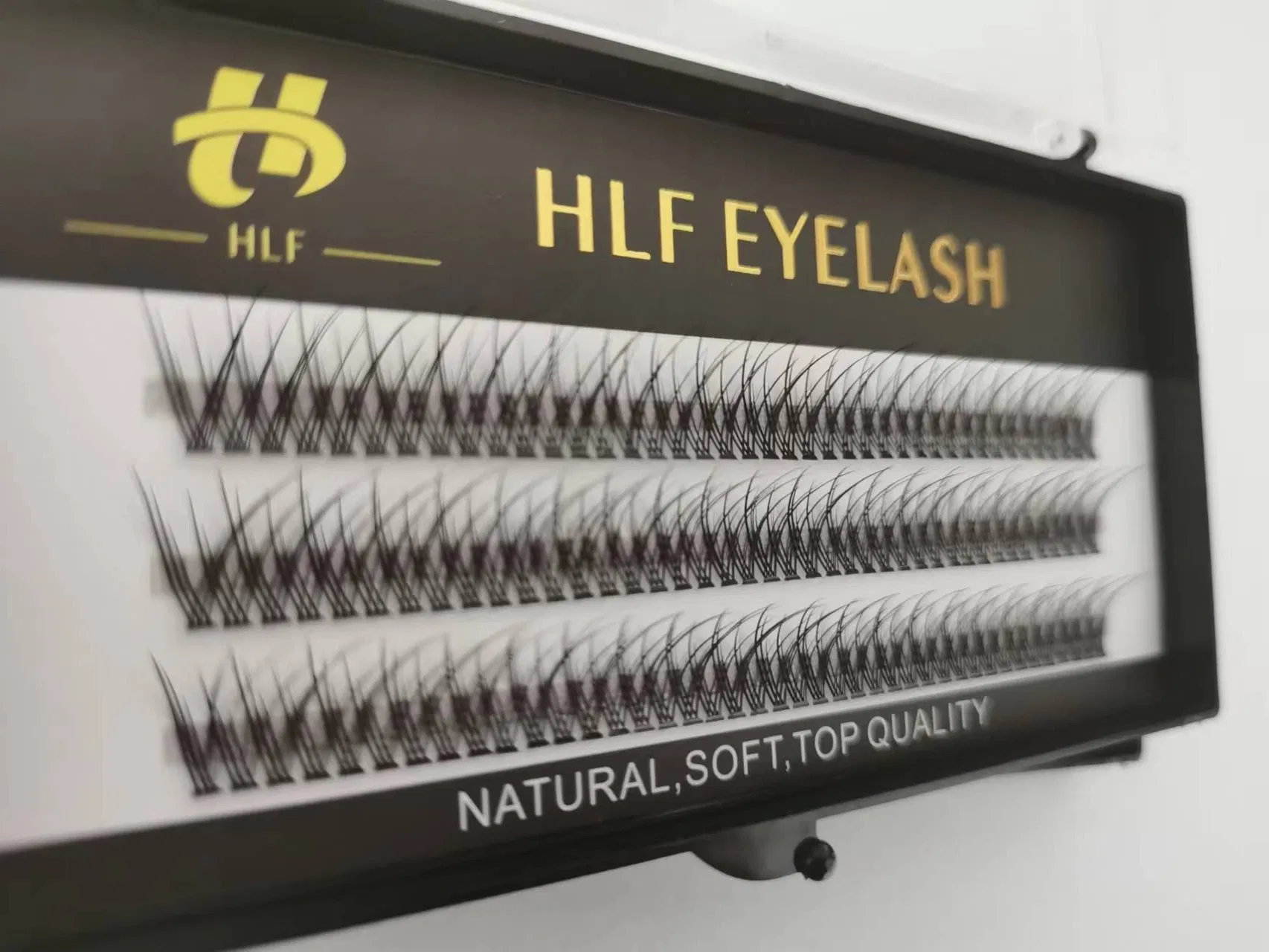 Customized Hlf 60PCS Box of 10d Premade Fan Eyelash Extensions