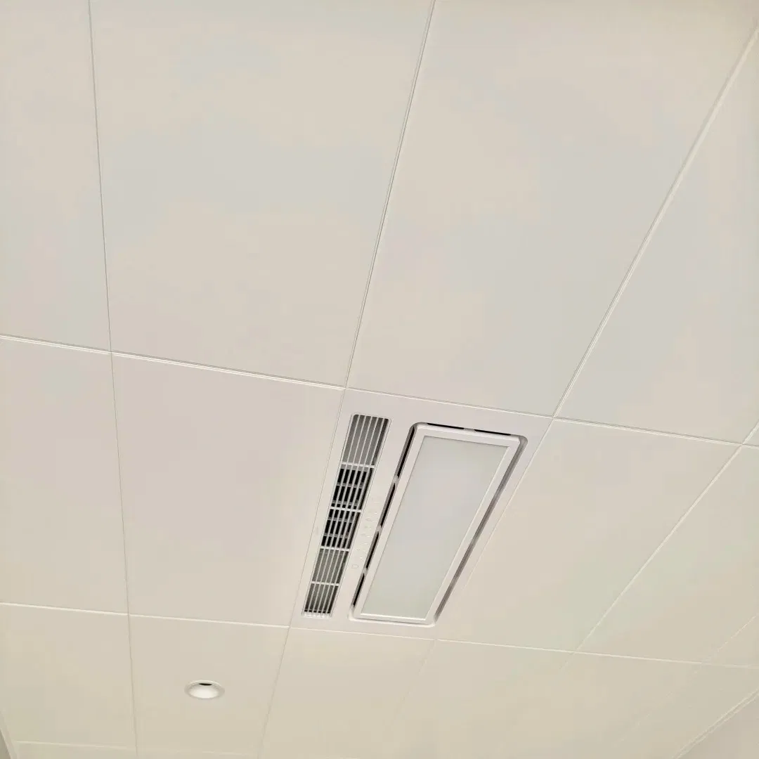 Sleek Aluminum Ceiling Tiles in Custom Colors - Free Samples Available