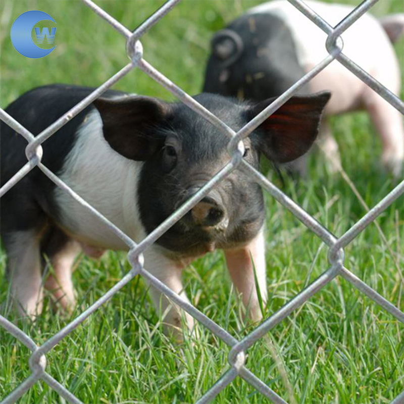 Factory Sale High Quality 8 Foot Chain Link Fence for Farm