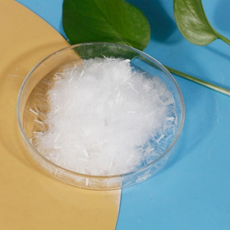 PP Concrete Fiber PP Polypropylene Fiber Monofilament Form for Construction 3mm 6mm 9mm 12mm