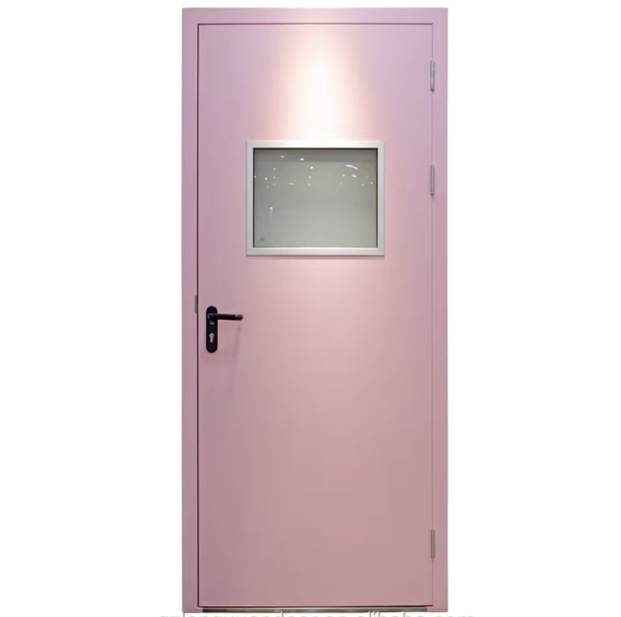 Premium Residential Fire Steel Door with 30-120 Minute Protection