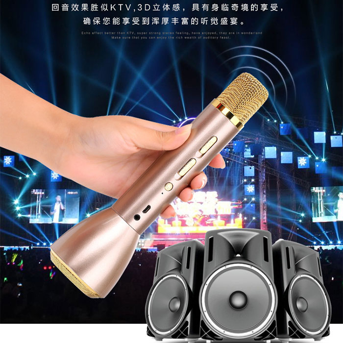 2600mAh Wireless Bluetooth KTV Microphone and High Quality Speaker