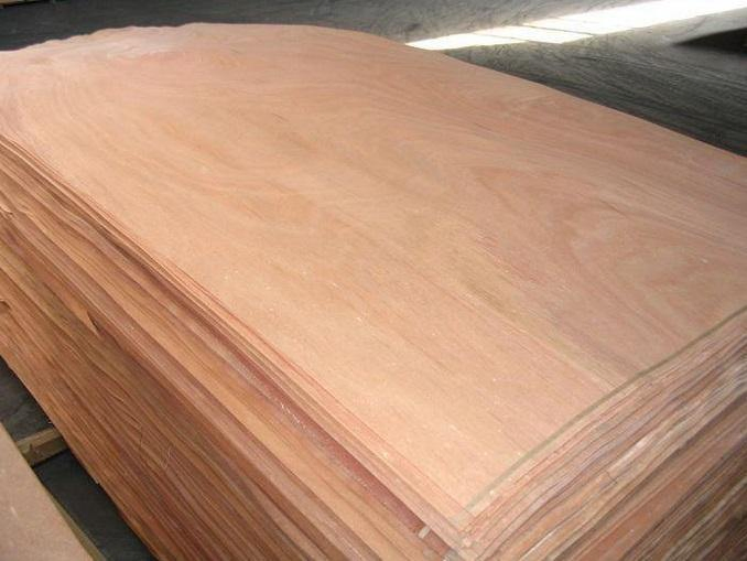 4'x6'x0.3mm Natural Wood Plb Rotary Cut Veneers