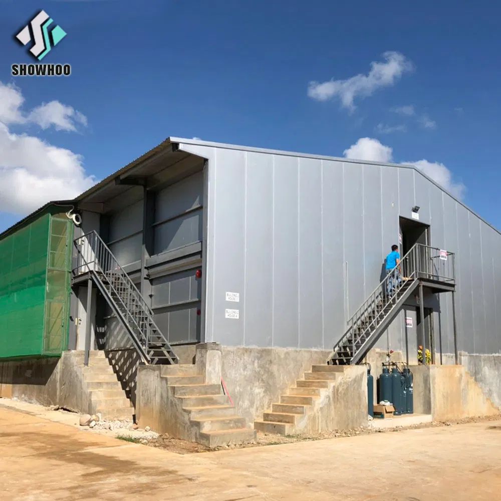 Modern Low Cost Quick Build Sound Proof Close EPS Panel Steel House Poultry Farm Control Shed Chicken Farm in Pakistan