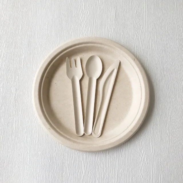 Unbleached 6'' Bagasse Biodegradable Knife Fork Spoon Sugarcane Cutlery
