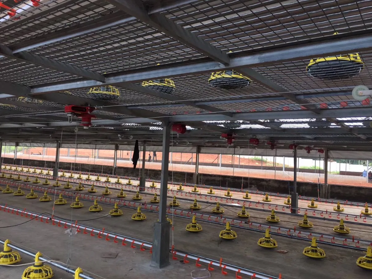 Large Capacity Modern Poultry Farm Steel Structure Animal House Layer/Broiler Chicken Coop Building for Automatic Battery Cage