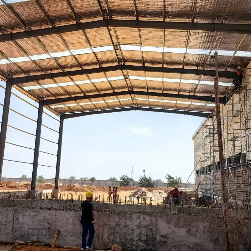 Modern Design Fast Built Construction Steel Building Pig House Cattle Shed Poultry Farm