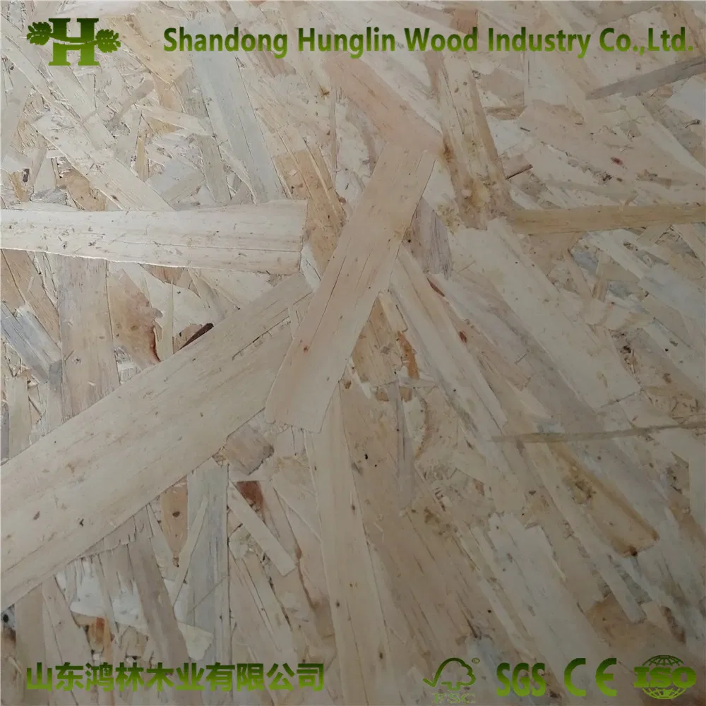 6mm-18mm OSB/ Laminate OSB Board for Packing with Good Price