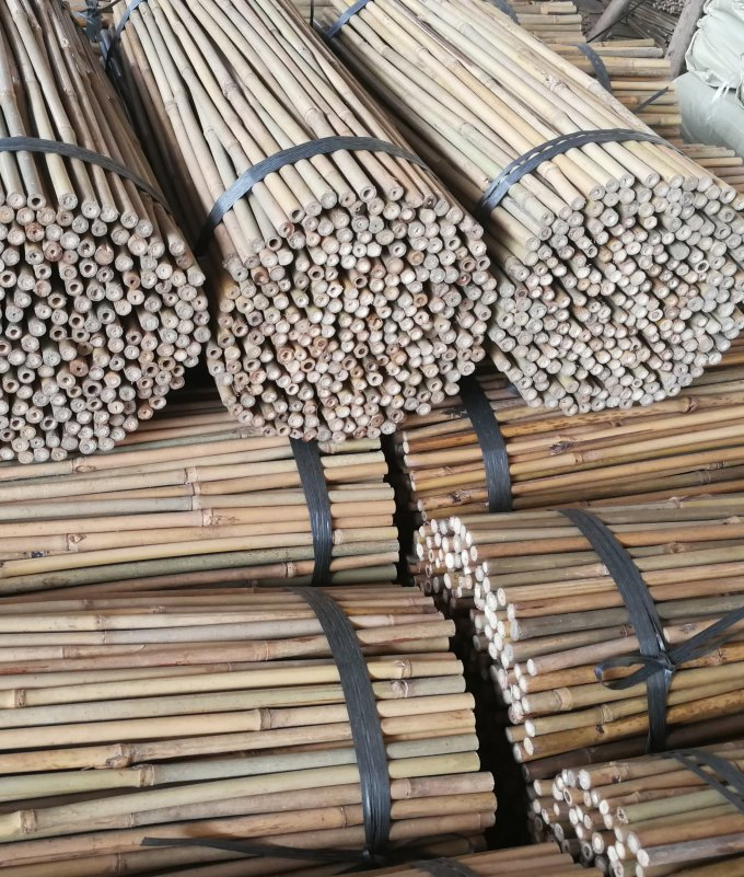 Bamboo Pole/ Strips /Support / Body