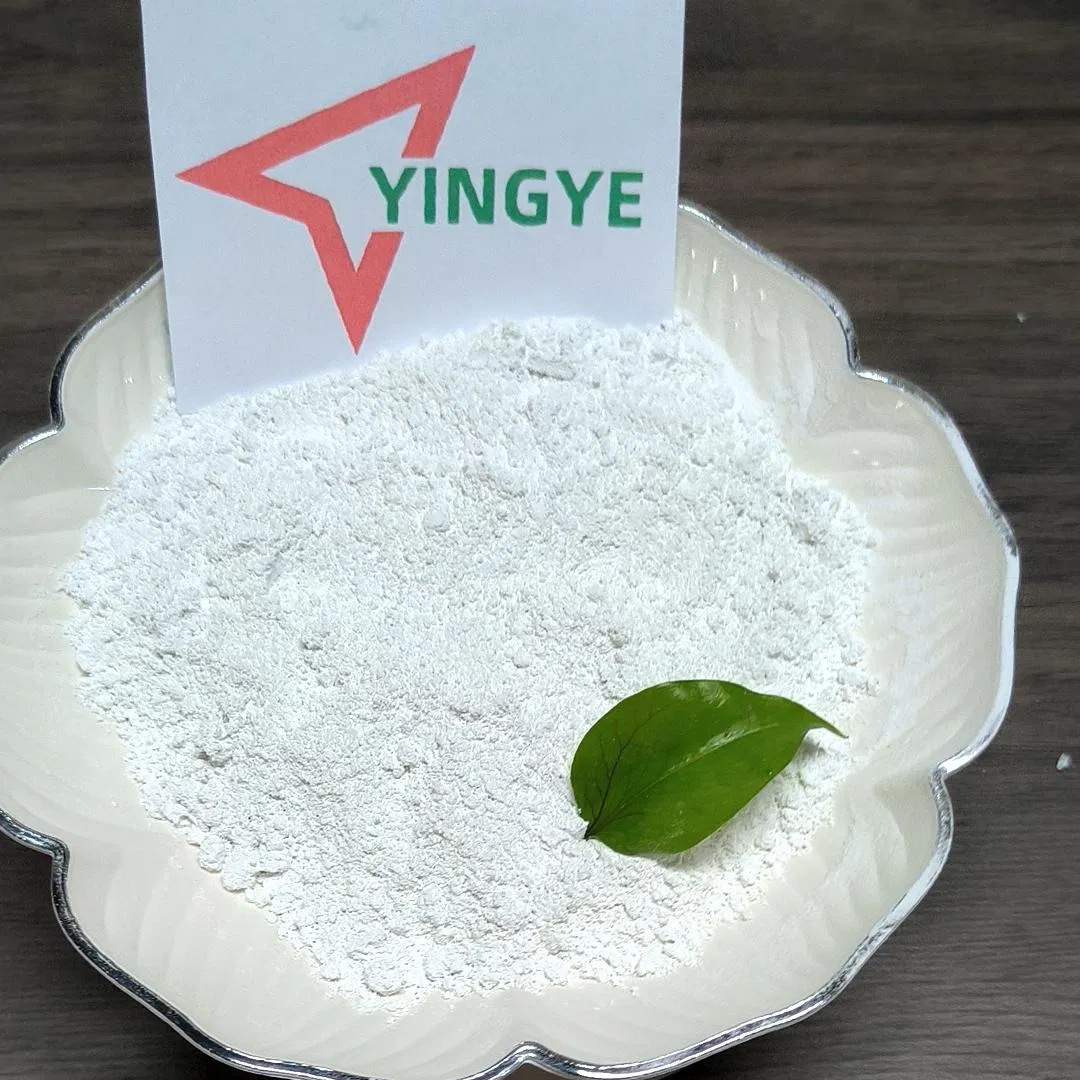 HPMC/Mhec/HEC Best Price for Tile Adhesive, White Cement Based Wall Putty