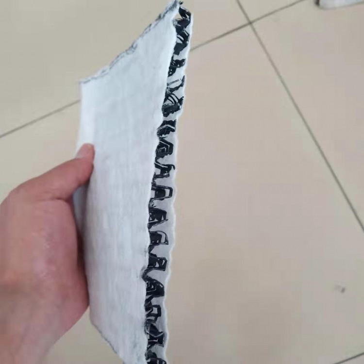 3D Composite Drainage Geonet Net Sheet High Quality Electrical Engineering/ Roads/Railways/&Airports Project, /Water Conservancy Project Use Drainage Net