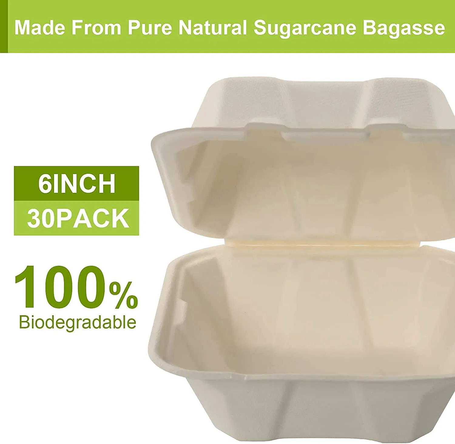Smooth Surface Compostable Square Box for Easy Cleaning and Reusability