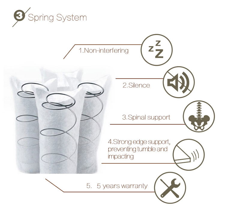 High Density Soft Foam Mattress Bed Pocket Spring Natural Latex Rolling Compression Mattress