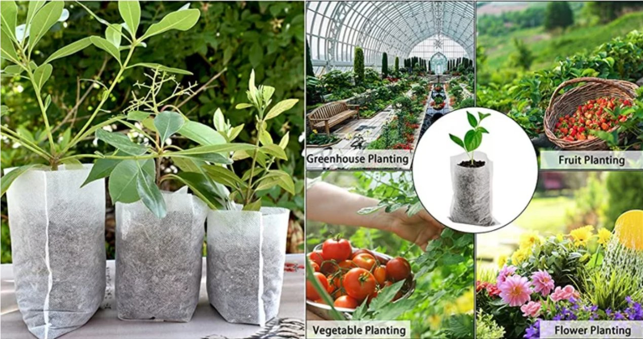 Breathable Non-Woven for Biodegradable Nursery Bags Plant Grow Seeding Bags