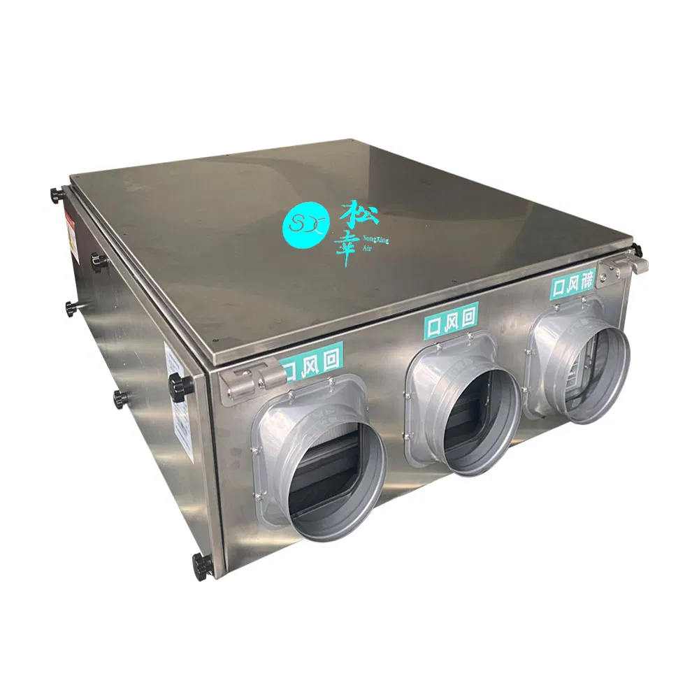 China Supplier Commercial Air-Cooled Duct Industrial Fresh Air Dehumidifier Ceiling Type