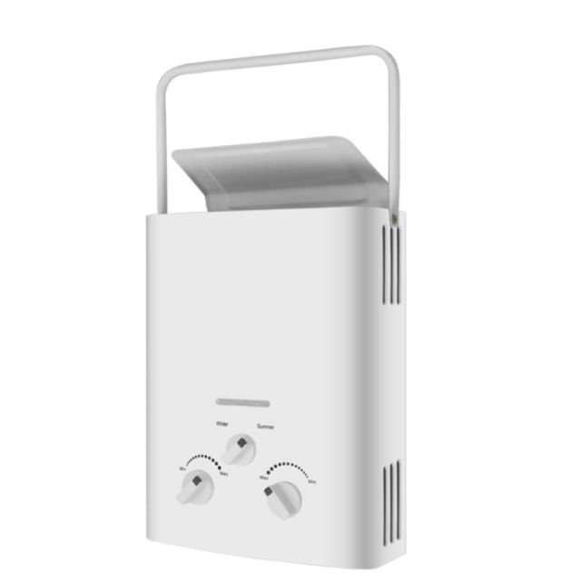 Home Appliance Flue Type Tankless Instant Gas Water Heater Gas Geyser Boiler with Custom Logo