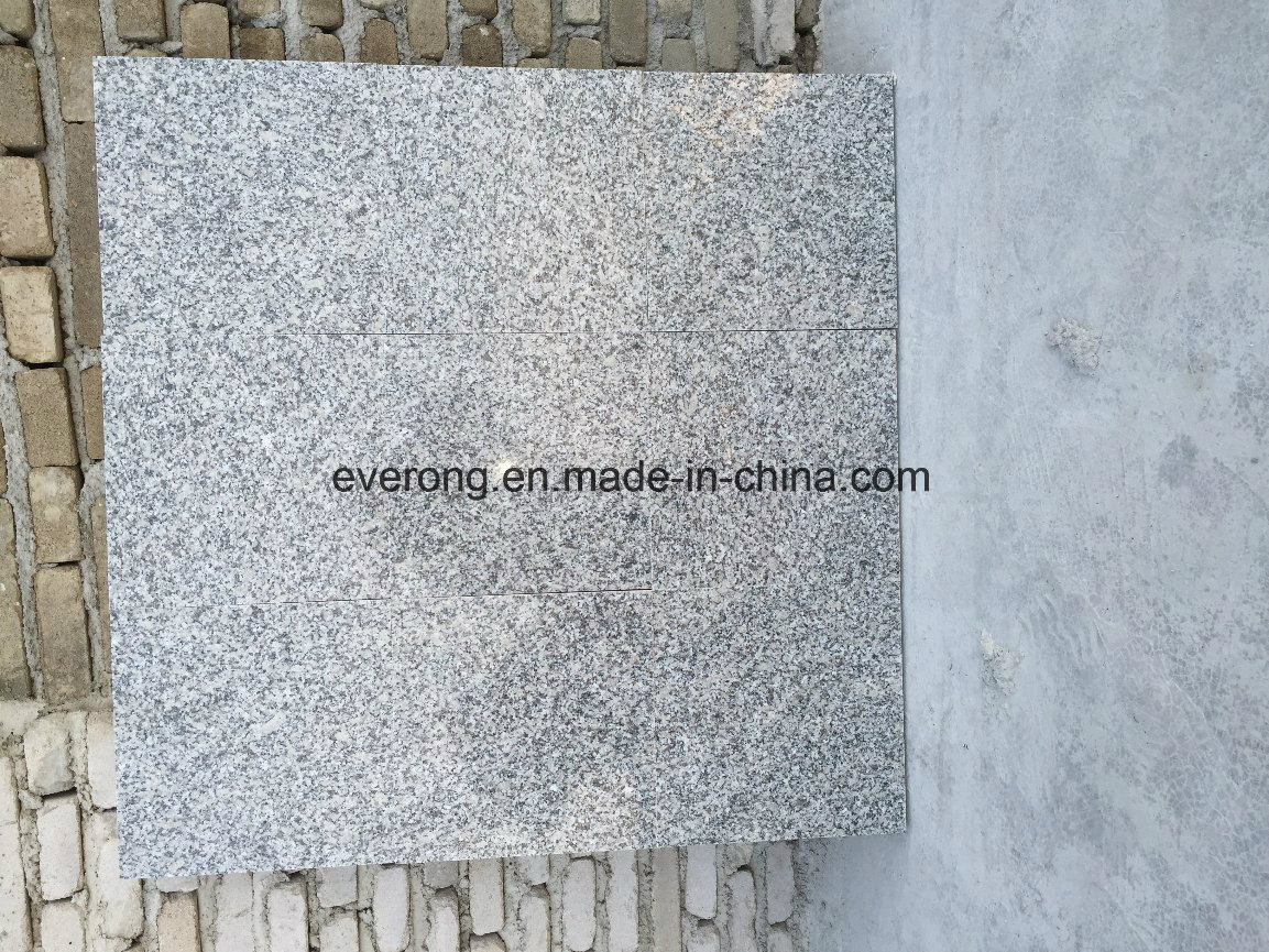 Chinese Cheap New Grey Granite China Rosa Porrino Tile for Paving Stone