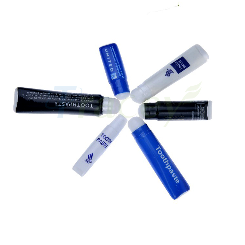 Portable Hotel Laundry and Care Kit