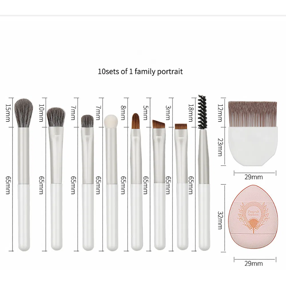 Ten-in-One Eye Makeup Seteyeshadow Brushportable Makeup Brush
