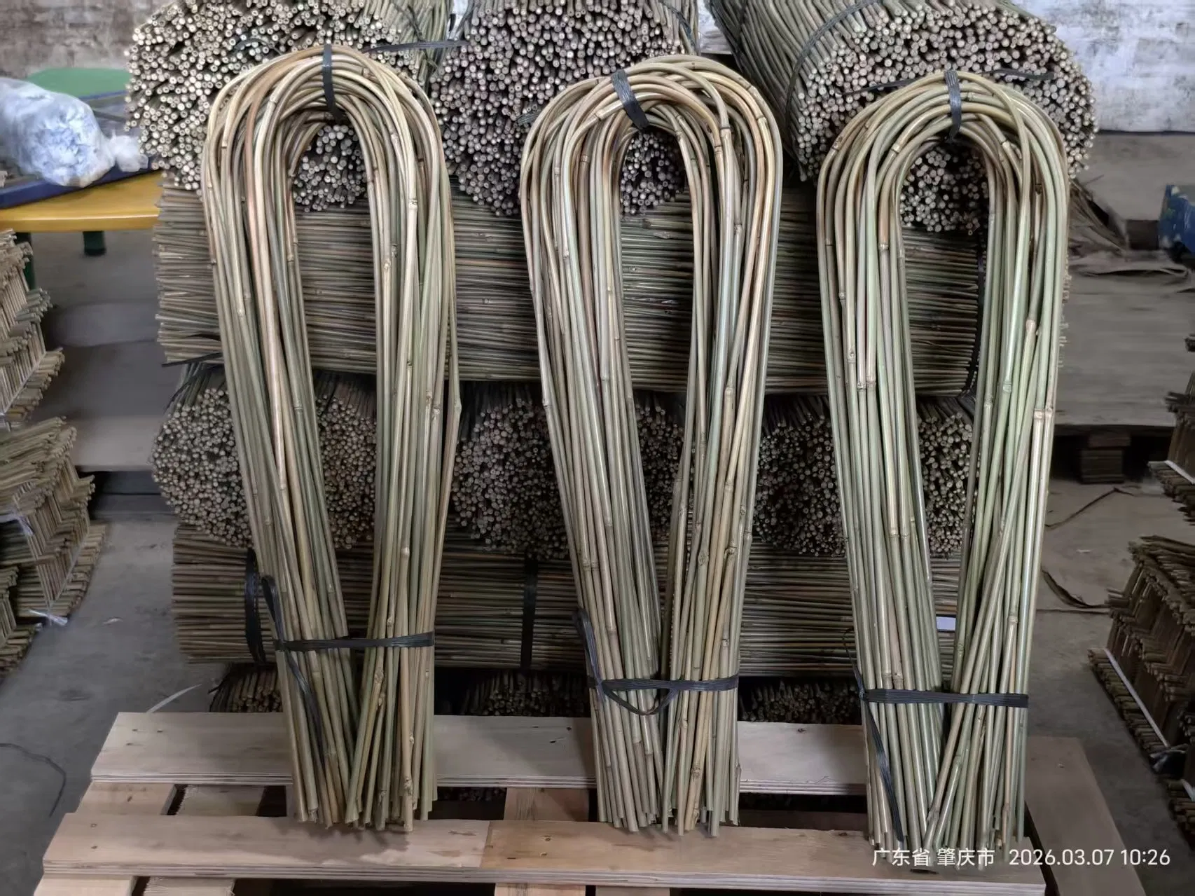 Bamboo Trellis U Bamboo Trellis Flowerstick Pole Cane Stack Bamboo