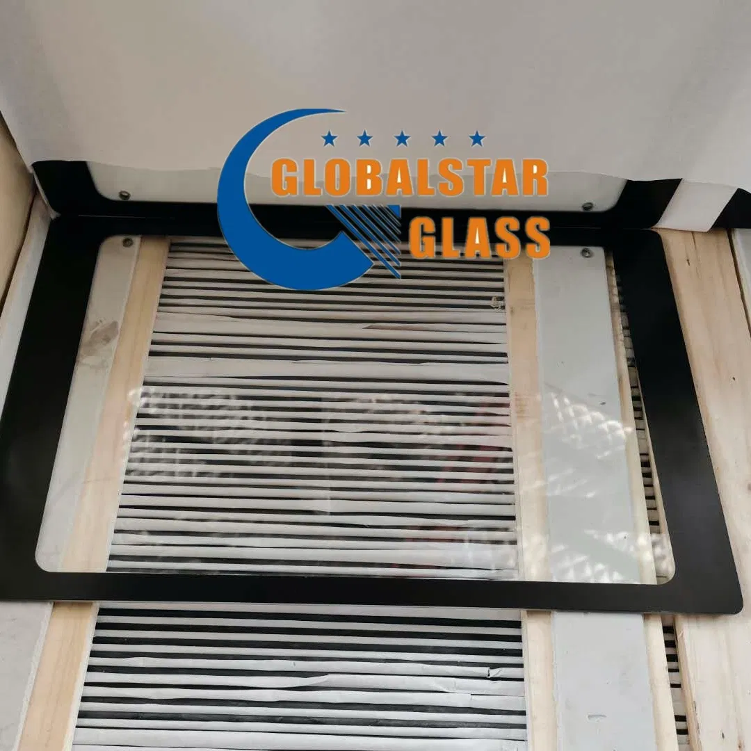 China Manufacturer Globalstar Small Size Silkscreen Tempered Glass