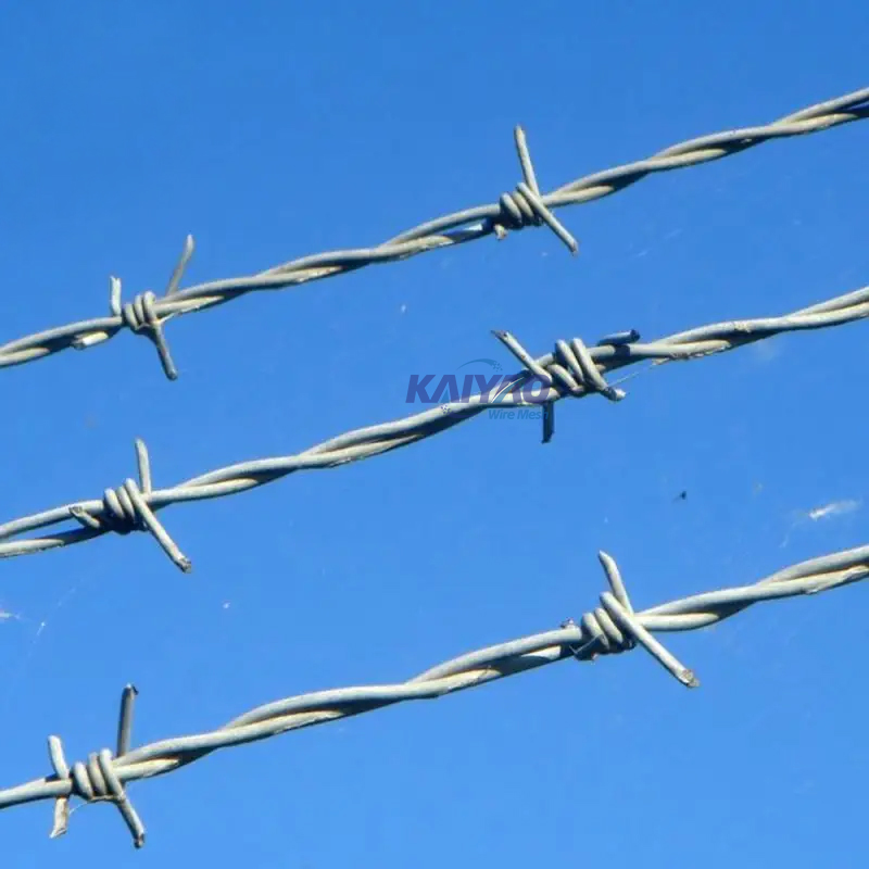 Factory Directly Supply Razor Blade Barbed Wire for Prison, Border & Farm