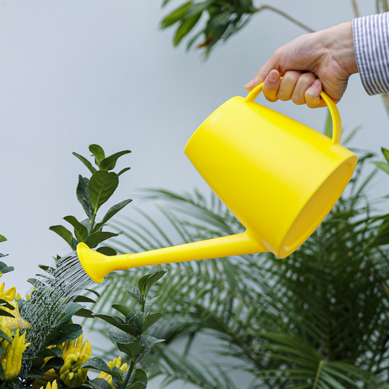 18L Long Spout Watering Can for Indoor & Outdoor Plants – Easy Pour, Small Garden Water Can