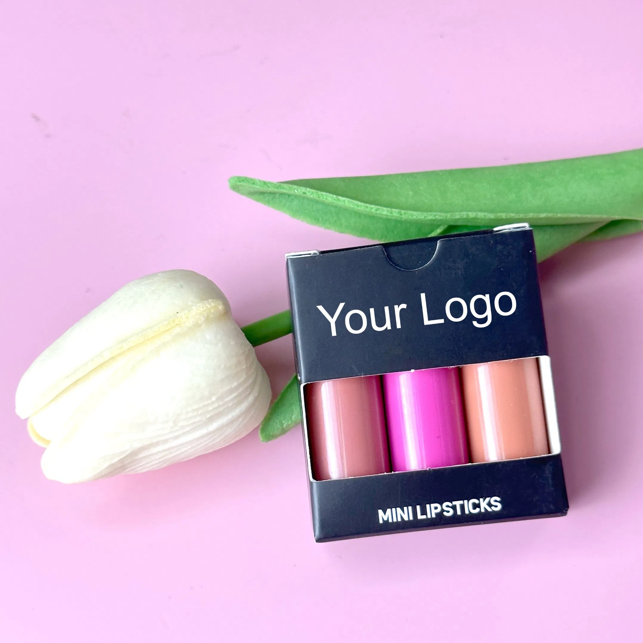 High Quality Makeup Mini Lipstick Set Custom Your Brand Lipgloss Set