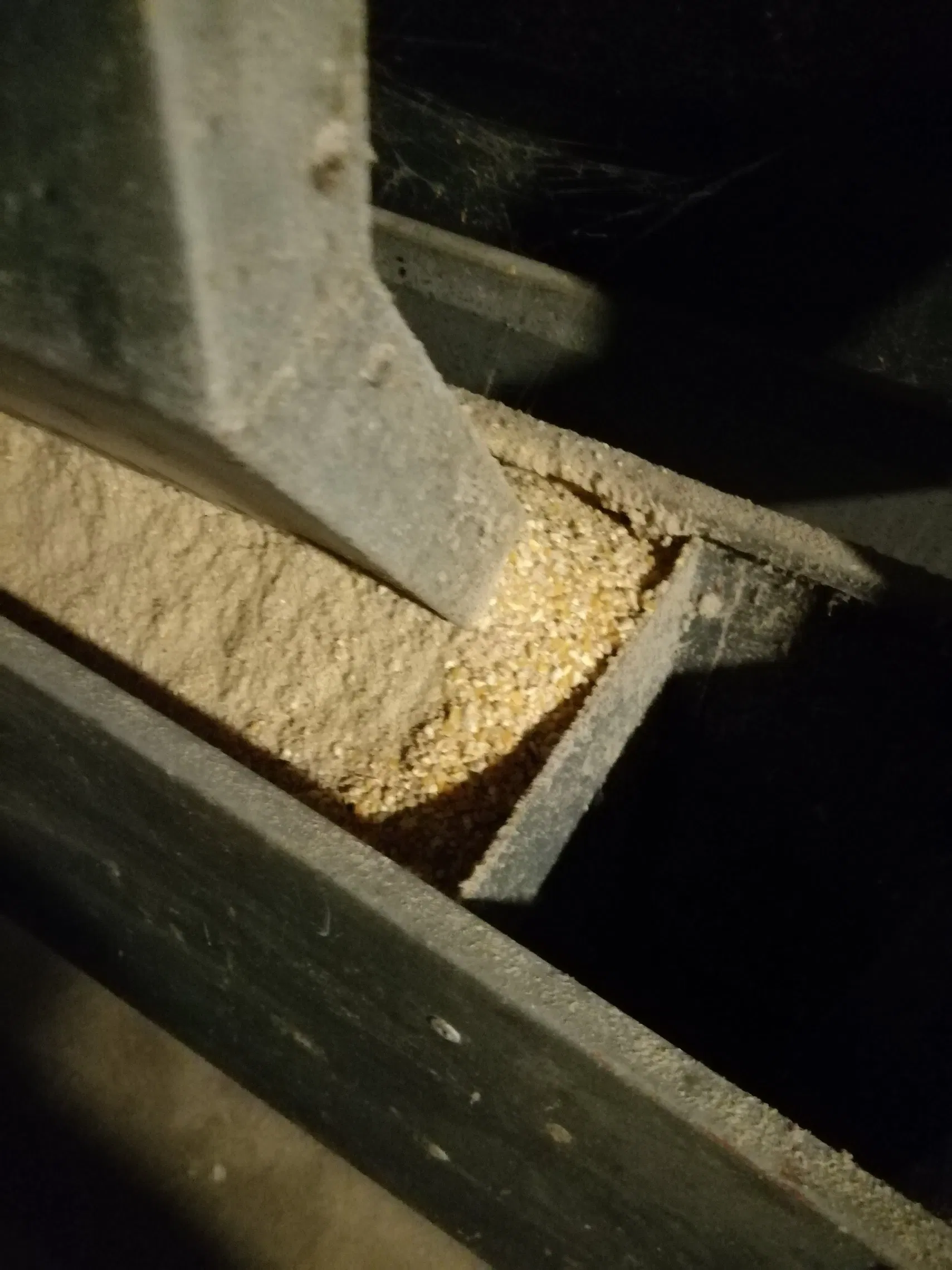 Galvanized Prefabricated Light Steel Structure Design Chicken Poultry Chicken Farm Shed Building Construction