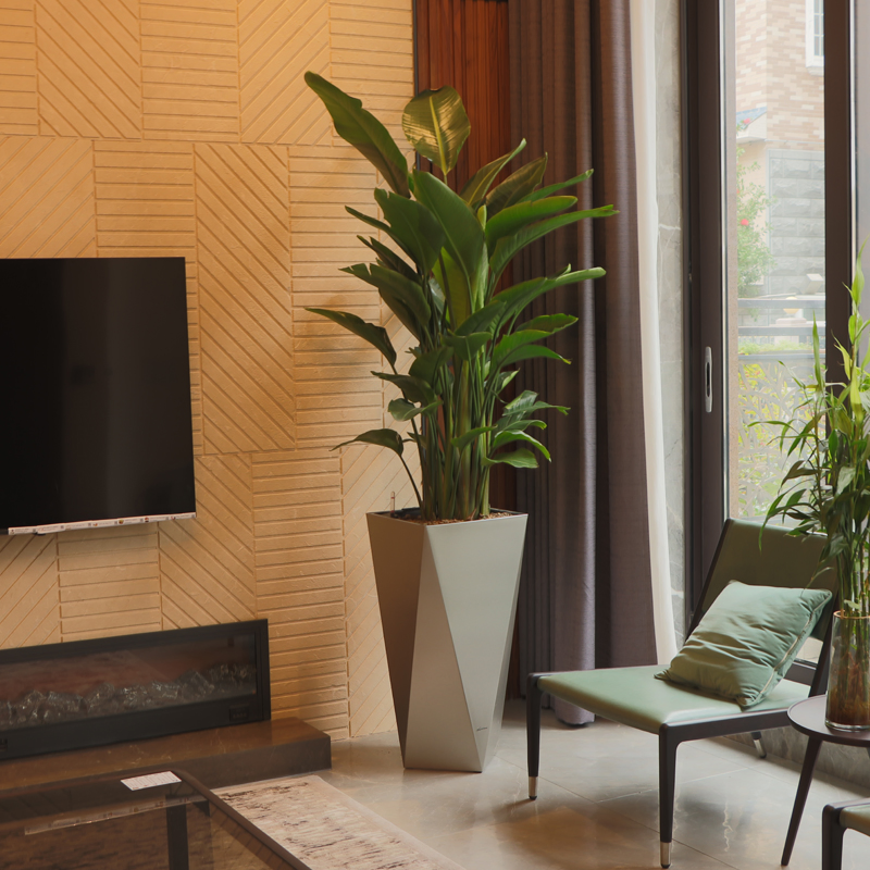 Charming! Modern Luxury Square Tall Plastic Planter: Suitable for Statement Plants