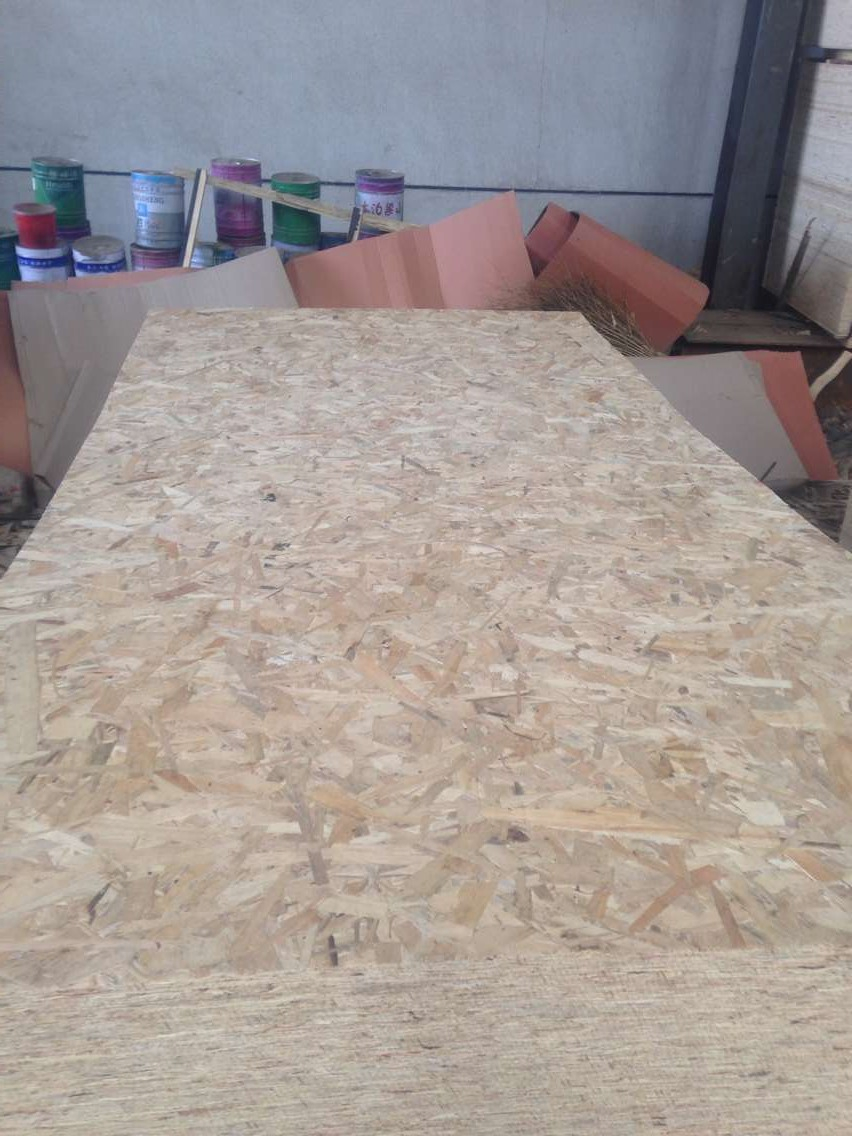 Factory-OSB Pine WBP Glue 1220X2440X11mm 18mm