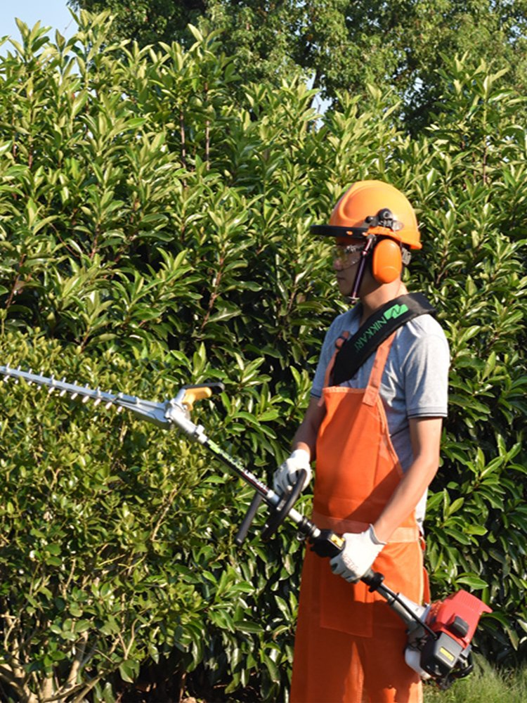 Original Thailand Honda GX35 Back Pack Pole Hedge Trimmer