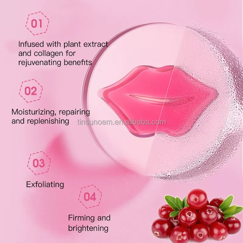 Hot Sale New Arrival Ekber Anti Dry Wrinkles Removal Lip Hydro Moisturizing Nourishing Lip Plumping Mask
